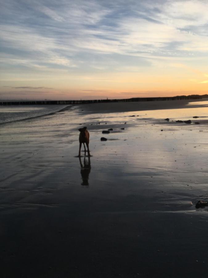 Ferienchalet „Sundowner“ ブレスケンス エクステリア 写真